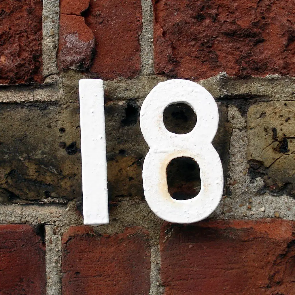 Openverse 201ef470 212b 4109 B970 Ef5de4ba9817